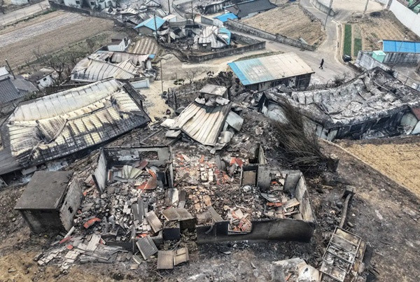 Một người đi ngang qua những ngôi nhà đã bị cháy trụi ở thành phố Yeongyang (Hàn Quốc). Ảnh chụp ngày 26/3. Ảnh: Yun Kwan-sik/ Yonhap via AP. Một người đi ngang qua những ngôi nhà đã bị cháy trụi ở thành phố Yeongyang (Hàn Quốc). Ảnh chụp ngày 26/3. Ảnh: Yun Kwan-sik/ Yonhap via AP.