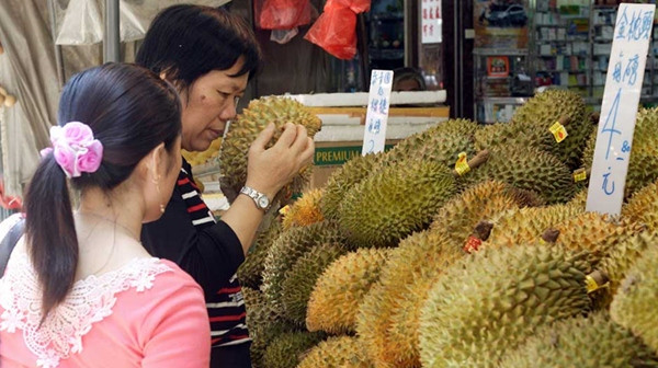 Một khách hàng đang chọn sầu riêng. Ảnh minh họa: Agencja Fotograficzna Caro/ Alamy Photo. Một khách hàng đang chọn sầu riêng. Ảnh minh họa: Agencja Fotograficzna Caro/ Alamy Photo.