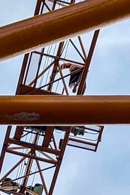 Cận cảnh. Ảnh: The Star. Cận cảnh. Ảnh: The Star.