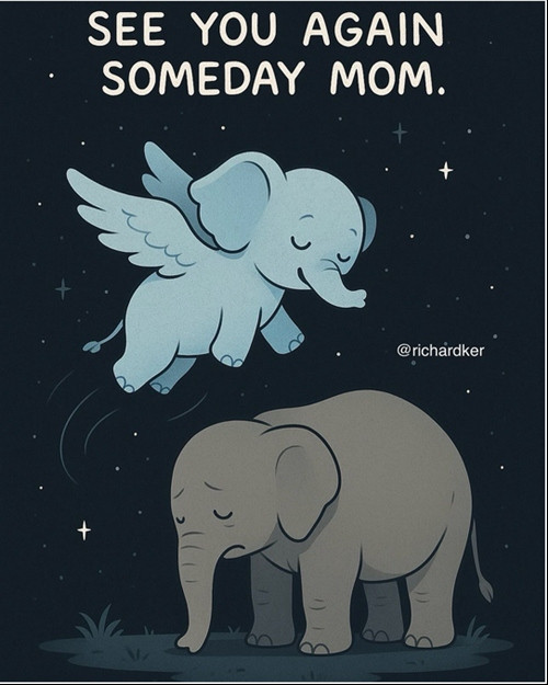 Một hình vẽ chú voi con biến thành thiên thần và nói: &quot;Hẹn gặp lại mẹ&quot; thật sự khiến người xem rơi nước mắt. Ảnh: Richardker.