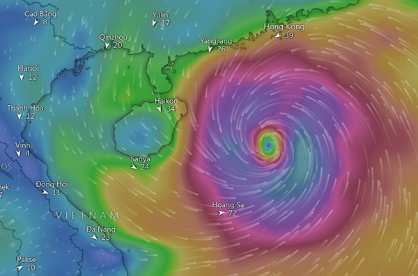 Dự báo của GFS: Ngày 12/6, vùng áp thấp sẽ mạnh lên thành bão cấp 10. Ảnh: Windy, GFS.