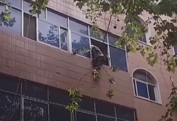 Cụ bà trèo ra khỏi cửa sổ tầng 3. Ảnh: CCTV. Cụ bà trèo ra khỏi cửa sổ tầng 3. Ảnh: CCTV.