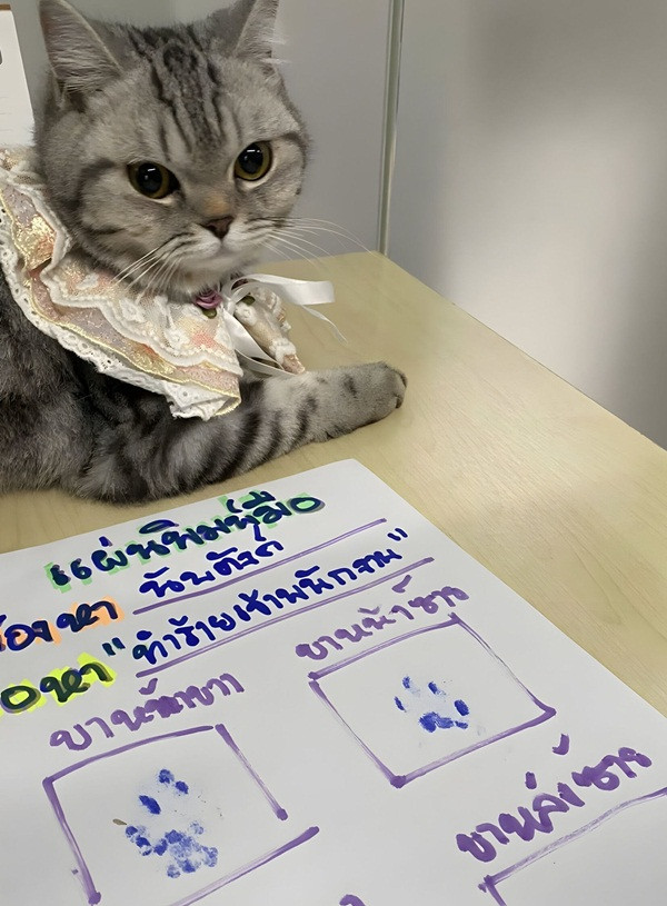 Vì không biết viết nên mèo đã &quot;điểm chỉ&quot; vào biên bản. Ảnh: Khaosod.