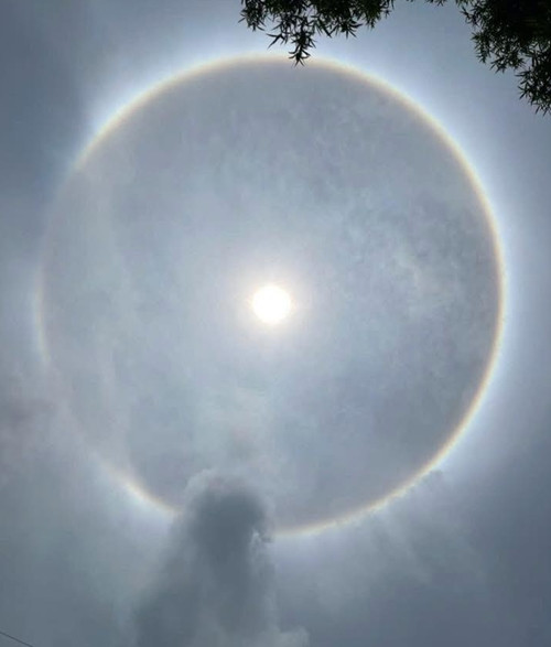 Ảnh: Hà Nội News Facebook. Ảnh: Hà Nội News Facebook.