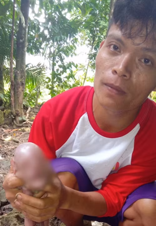 Anh Alfredo và chú heo lạ. Ảnh: AJ Bantaya Cardinas.
