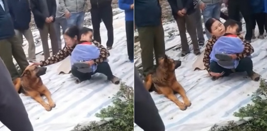 Bé Tuấn được tìm thấy an toàn, bên cạnh là chú chó Mic đã trông cậu bé suốt đêm. Ảnh: Beat Hưng Yên.