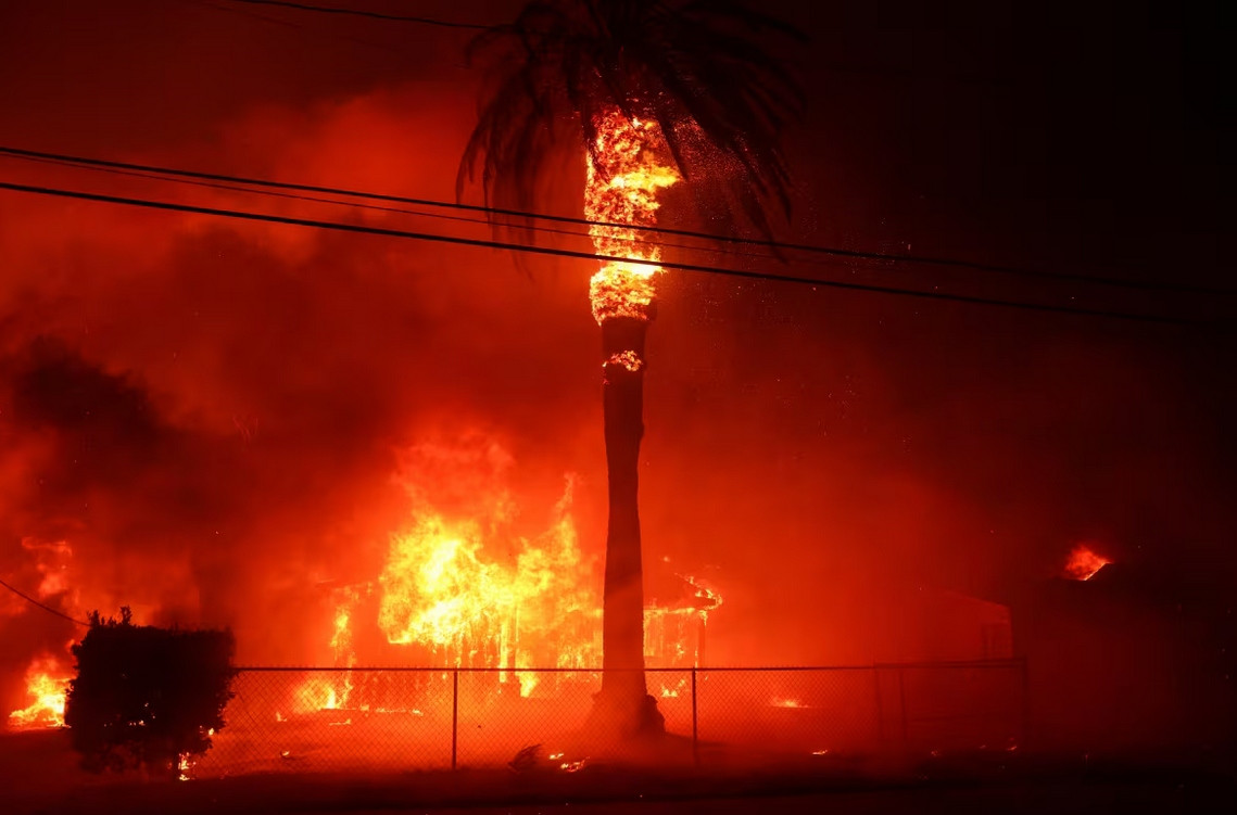 Cây mà khô thì vẫn cháy. Trong ảnh là một cây cọ đang cháy ở khu Altadena (California, Mỹ). Ảnh: David Swanson/ Reuters. Cây mà khô thì vẫn cháy. Trong ảnh là một cây cọ đang cháy ở khu Altadena (California, Mỹ). Ảnh: David Swanson/ Reuters.