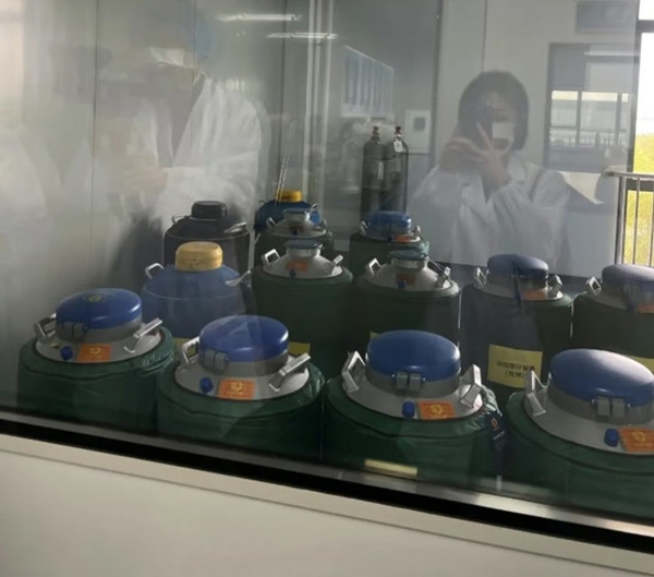 Xu nói, cô đã đến thăm công ty nhân bản thú cưng và thấy họ rất quan tâm đến động vật. Ảnh: Weixin. Xu nói, cô đã đến thăm công ty nhân bản thú cưng và thấy họ rất quan tâm đến động vật. Ảnh: Weixin.