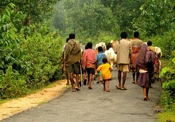Một nghiên cứu mới cho rằng có hơn 1 tỷ người ở các vùng nông thôn ở nhiều quốc gia đã không được tính vào tổng dân số thế giới. Ảnh minh họa: National Geographic. Một nghiên cứu mới cho rằng có hơn 1 tỷ người ở các vùng nông thôn ở nhiều quốc gia đã không được tính vào tổng dân số thế giới. Ảnh minh họa: National Geographic.