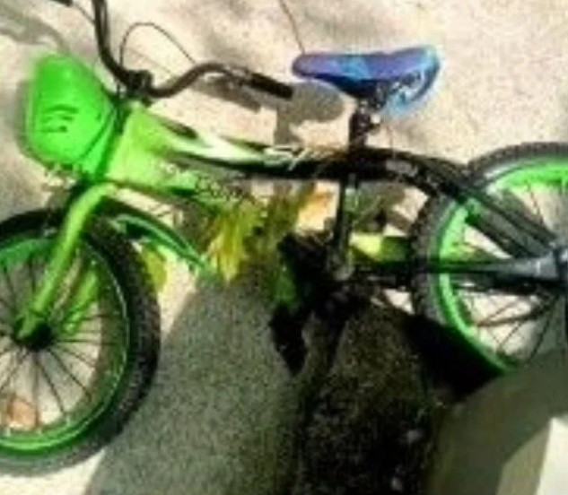 Chiếc xe đạp rơi từ trên cao xuống. Ảnh: Baharom Bakar.