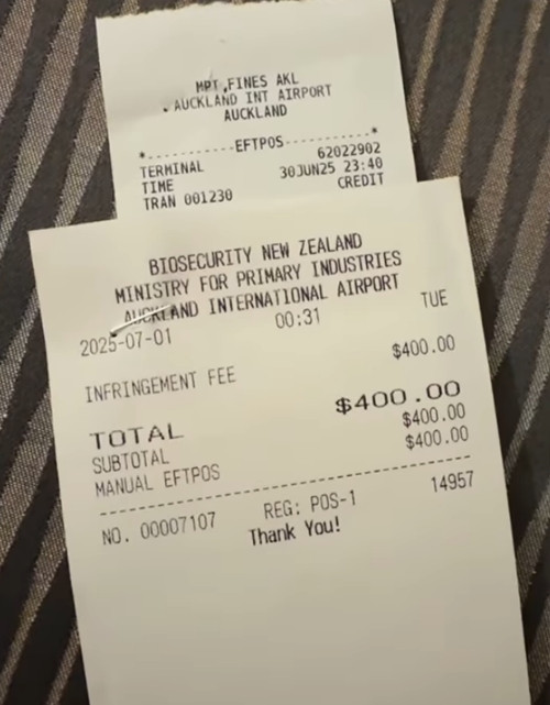 Phiếu phạt của cô Aida. Ảnh: Instagram.