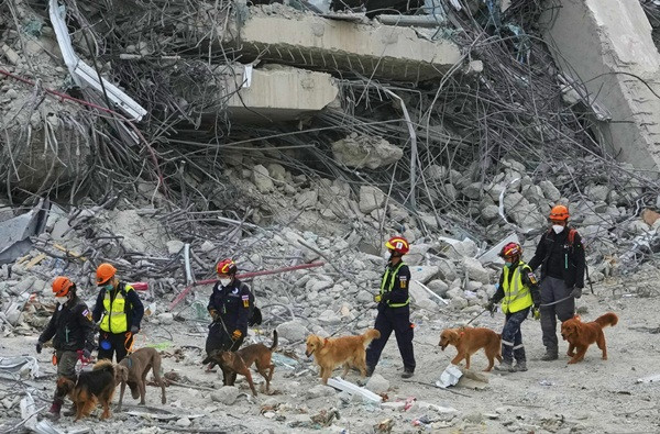 Các nhân viên cứu hộ và chó nghiệp vụ đang làm việc ở hiện trường tòa nhà bị sập (do động đất) ở Bangkok (Thái Lan). Ảnh: Manish Swarup/ AP. Các nhân viên cứu hộ và chó nghiệp vụ đang làm việc ở hiện trường tòa nhà bị sập (do động đất) ở Bangkok (Thái Lan). Ảnh: Manish Swarup/ AP.