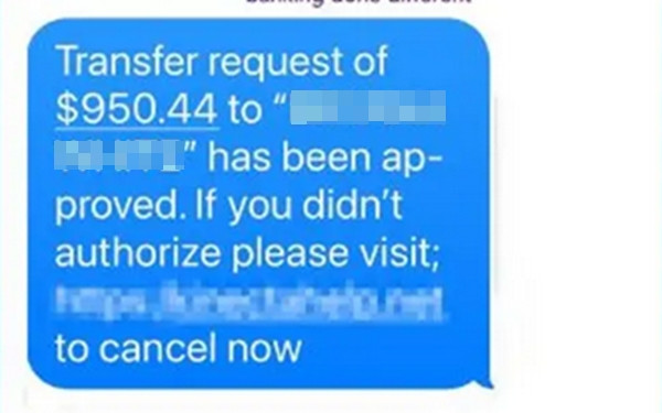 Thủ đoạn giả mạo tin nhắn từ ngân hàng/ dịch vụ thanh toán trực tuyến đang được thực hiện ở nhiều nước, những người dùng các dịch vụ thanh toán của nước ngoài càng dễ nhận được những tin nhắn này, bằng tiếng Việt hoặc tiếng Anh. Ảnh minh họa: Fox News.