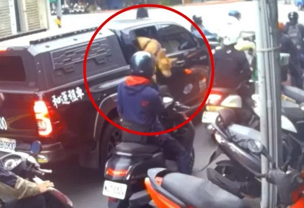 Ông Xu nói con chó tự hạ cửa kính. Ảnh: YouTube. Ông Xu nói con chó tự hạ cửa kính. Ảnh: YouTube.