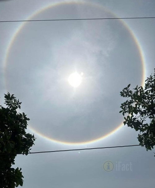 Ảnh: iFact Facebook. Ảnh: iFact Facebook.