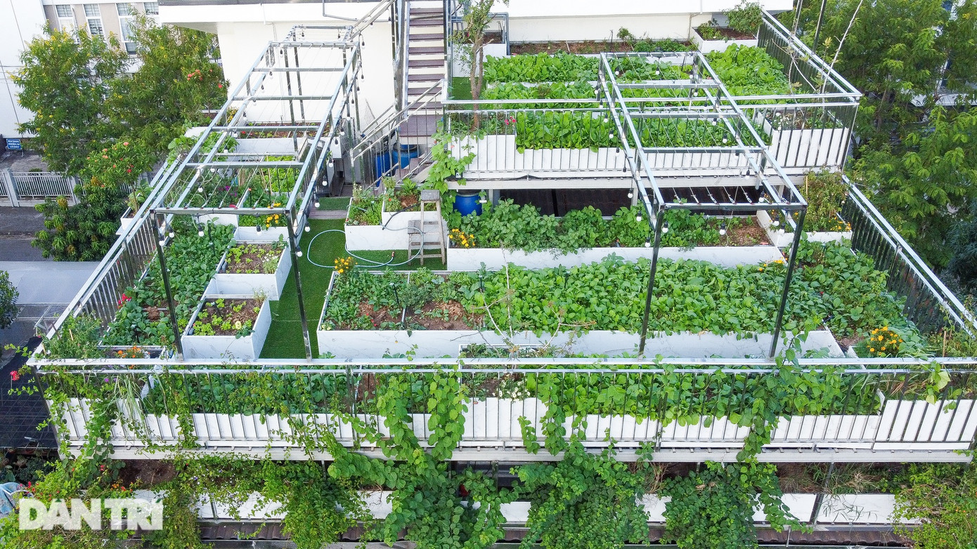 Cũng theo ông Dũng, gia đình có trang trại rau sạch nằm cách trung tâm thành phố 40km. Tuy nhiên, mỗi tuần, ông bà chỉ có thể lấy rau từ trang trại về 1-2 lần và vẫn phải bảo quản tủ lạnh. "Rau đó sạch đấy nhưng khi bảo quản tủ lạnh vài ngày, rau không còn giữ được độ ngon và chất dinh dưỡng", ông Dũng cho hay. Cũng theo ông Dũng, gia đình có trang trại rau sạch nằm cách trung tâm thành phố 40km. Tuy nhiên, mỗi tuần, ông bà chỉ có thể lấy rau từ trang trại về 1-2 lần và vẫn phải bảo quản tủ lạnh. "Rau đó sạch đấy nhưng khi bảo quản tủ lạnh vài ngày, rau không còn giữ được độ ngon và chất dinh dưỡng", ông Dũng cho hay.