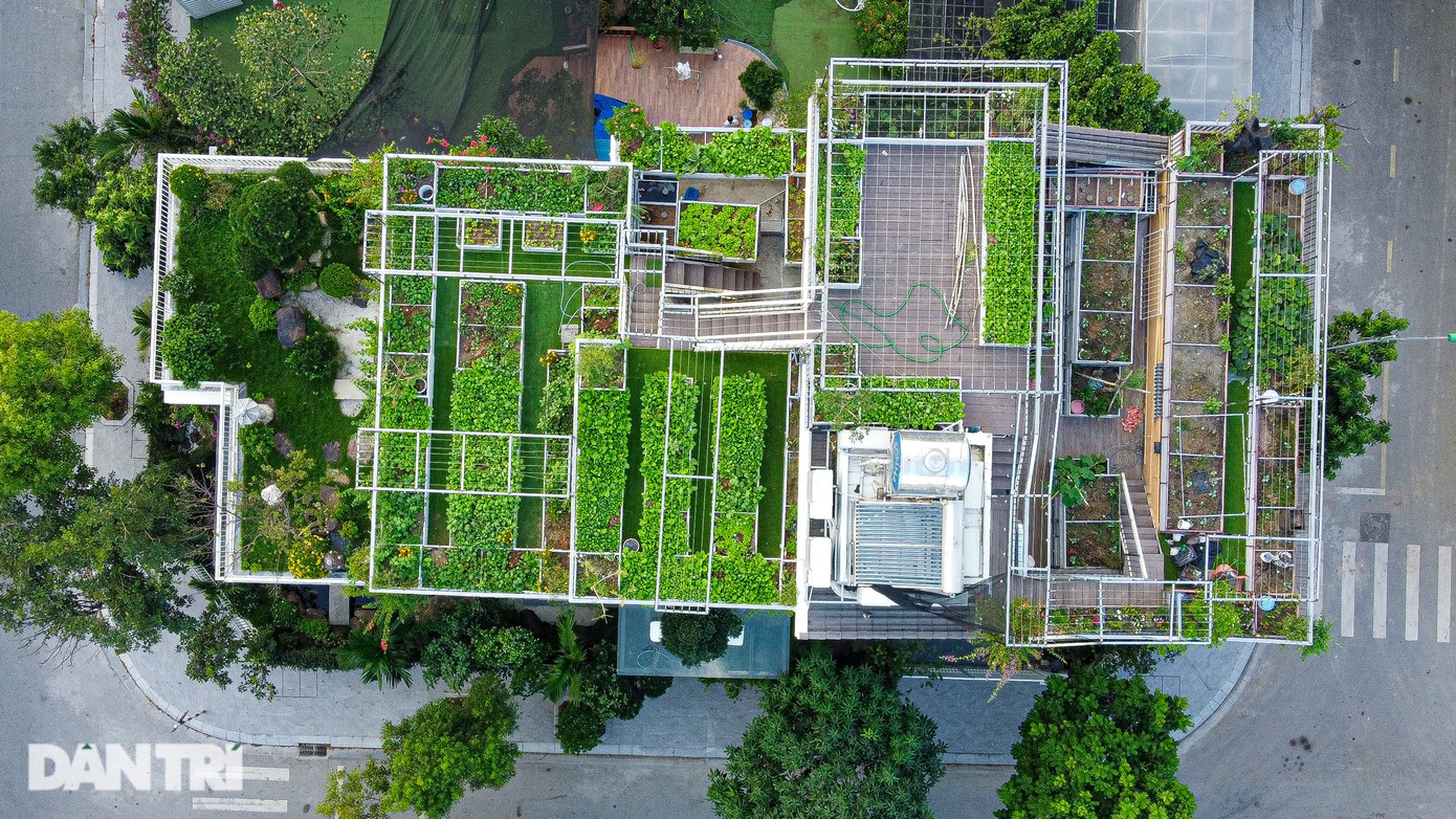 "Khác với căn nhà phố trước đây tôi sống, căn biệt thự này thiết kế mái chéo, không có sân thượng. Khi tôi đề nghị kiến trúc sư thiết kế nhà thêm khu vực trồng rau xanh, anh ấy từ chối, sợ mất mỹ quan. Nhưng tôi không nghĩ vậy, thêm mảng xanh cho không gian sống là điều tất yếu, không thể xấu được", ông Dũng nói. "Khác với căn nhà phố trước đây tôi sống, căn biệt thự này thiết kế mái chéo, không có sân thượng. Khi tôi đề nghị kiến trúc sư thiết kế nhà thêm khu vực trồng rau xanh, anh ấy từ chối, sợ mất mỹ quan. Nhưng tôi không nghĩ vậy, thêm mảng xanh cho không gian sống là điều tất yếu, không thể xấu được", ông Dũng nói.