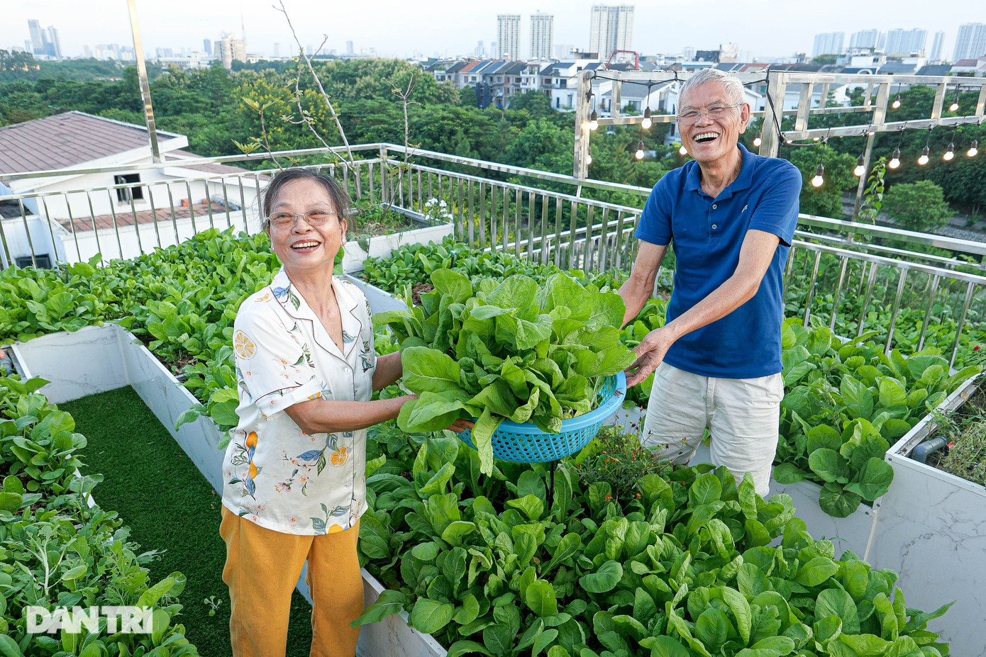 "Từ vài chục năm trước tôi đã áp dụng việc sử dụng rác thải nhà bếp làm phân hữu cơ. Thế nhưng dù tìm hiểu nhiều cách, cho thêm các loại men vi sinh, phân vẫn có mùi hôi khó chịu. Khi áp dụng phương pháp của anh Giang thì hoàn toàn không còn mùi hôi", ông Dũng cho hay. Kĩ sư Hà Giang cho biết: "Điều đặc biệt của mô hình tuần hoàn này là đất trong hệ thống giàu dinh dưỡng, vi nấm, vi sinh nên cây khỏe mạnh và có khả năng kháng sâu bệnh tốt. Hiện nay, nhiều gia đình đang áp dụng để có khu vườn tại nhà sạch, không tốn quá nhiều công chăm sóc". "Từ vài chục năm trước tôi đã áp dụng việc sử dụng rác thải nhà bếp làm phân hữu cơ. Thế nhưng dù tìm hiểu nhiều cách, cho thêm các loại men vi sinh, phân vẫn có mùi hôi khó chịu. Khi áp dụng phương pháp của anh Giang thì hoàn toàn không còn mùi hôi", ông Dũng cho hay. Kĩ sư Hà Giang cho biết: "Điều đặc biệt của mô hình tuần hoàn này là đất trong hệ thống giàu dinh dưỡng, vi nấm, vi sinh nên cây khỏe mạnh và có khả năng kháng sâu bệnh tốt. Hiện nay, nhiều gia đình đang áp dụng để có khu vườn tại nhà sạch, không tốn quá nhiều công chăm sóc".