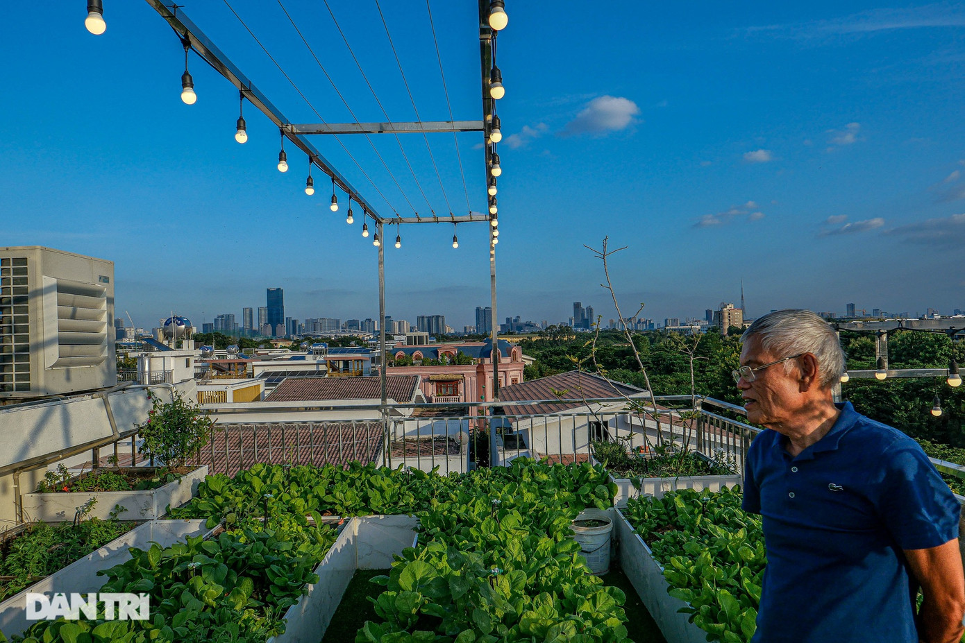 Hiện tại, ông Dũng đang thử nghiệm tại vườn các loại rau xanh ăn lá, rau thơm, vài giống hoa, cây dây leo. Sắp tới, ông sẽ trồng đa dạng hơn các loại dưa, củ quả, rau xanh và trồng nối vụ. "Hai vợ chồng ăn lượng rau không đáng là bao nhưng làm vườn là thời gian để rèn luyện sức khỏe, tính kiên nhẫn và thư giãn đầu óc, tận hưởng niềm vui tuổi già", ông Dũng cho biết. Hiện tại, ông Dũng đang thử nghiệm tại vườn các loại rau xanh ăn lá, rau thơm, vài giống hoa, cây dây leo. Sắp tới, ông sẽ trồng đa dạng hơn các loại dưa, củ quả, rau xanh và trồng nối vụ. "Hai vợ chồng ăn lượng rau không đáng là bao nhưng làm vườn là thời gian để rèn luyện sức khỏe, tính kiên nhẫn và thư giãn đầu óc, tận hưởng niềm vui tuổi già", ông Dũng cho biết.