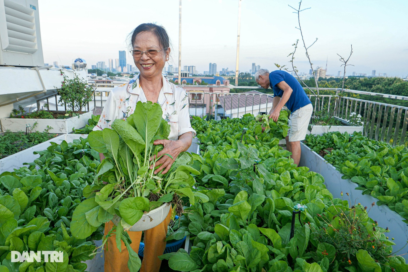 Khu vườn cũng thực hiện "làm đất tự động". Tại mỗi bồn được đặt một chiếc thùng nhựa đã đục lỗ nhỏ xung quanh thân và đáy thùng, đồng thời thả giun trùn quế. Hàng ngày, gia đình sử dụng rác thải nhà bếp như vỏ củ quả để thả vào thùng. Sau khi ủ, rác phân hủy, ngấm ra ngoài, tạo thành thức ăn cho trùn quế. Loại phân này "tự động" làm đất thêm dinh dưỡng, tơi xốp. Khu vườn cũng thực hiện "làm đất tự động". Tại mỗi bồn được đặt một chiếc thùng nhựa đã đục lỗ nhỏ xung quanh thân và đáy thùng, đồng thời thả giun trùn quế. Hàng ngày, gia đình sử dụng rác thải nhà bếp như vỏ củ quả để thả vào thùng. Sau khi ủ, rác phân hủy, ngấm ra ngoài, tạo thành thức ăn cho trùn quế. Loại phân này "tự động" làm đất thêm dinh dưỡng, tơi xốp.