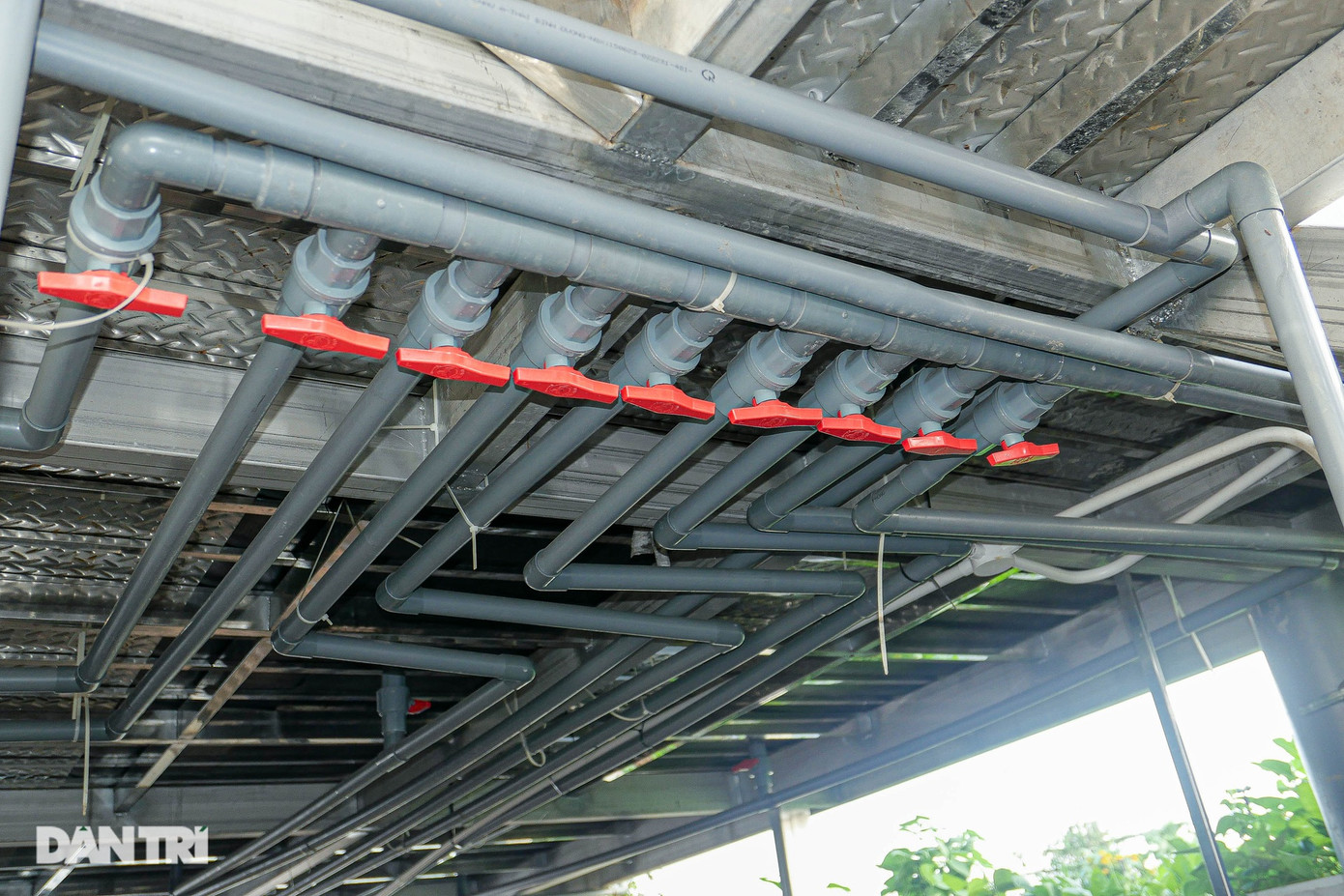 Tại khu vườn nhà ông Dũng, mỗi bồn trồng cây được thiết kế như một bồn kín nước, có lớp chống nóng và lớp nhựa ốp vân đá bên ngoài để tăng tính thẩm mỹ. Cấu tạo của bồn bao gồm: Một khoang chứa nước ở dưới cùng giúp giữ ẩm cho đất, sau đó đến lớp kết nối giữa khoang chứa nước và đất trồng. Phần nước này sẽ ngấm dần từ dưới đáy bồn vào đất. Cách "tưới tự động" này cho phép mặt trên của bồn đất không quá ẩm ướt, úng nước mà luôn khô ráo, nhờ đó hạn chế nấm mốc, sâu bệnh. Đất trồng cây có nhiều thành phần hữu cơ như: Đất sạch, phân bò, phân gà, bã đậu, phân chim…, trộn theo tỷ lệ 4:1:1:1 (4 đất, 1 phân, 1 trấu, 1 xơ dừa). Mô hình này giúp tiết kiệm nước, đồng thời với thiết kế đáy bồn chứa nước ngầm, các chất hữu cơ được giữ lại và thấm ngược vào đất, cung cấp dinh dưỡng cho cây. Một hệ thống tưới phun sương tự động được lắp đặt trên mặt bồn rau để sử dụng trong những ngày nắng nóng cao điểm. Tại khu vườn nhà ông Dũng, mỗi bồn trồng cây được thiết kế như một bồn kín nước, có lớp chống nóng và lớp nhựa ốp vân đá bên ngoài để tăng tính thẩm mỹ. Cấu tạo của bồn bao gồm: Một khoang chứa nước ở dưới cùng giúp giữ ẩm cho đất, sau đó đến lớp kết nối giữa khoang chứa nước và đất trồng. Phần nước này sẽ ngấm dần từ dưới đáy bồn vào đất. Cách "tưới tự động" này cho phép mặt trên của bồn đất không quá ẩm ướt, úng nước mà luôn khô ráo, nhờ đó hạn chế nấm mốc, sâu bệnh. Đất trồng cây có nhiều thành phần hữu cơ như: Đất sạch, phân bò, phân gà, bã đậu, phân chim…, trộn theo tỷ lệ 4:1:1:1 (4 đất, 1 phân, 1 trấu, 1 xơ dừa). Mô hình này giúp tiết kiệm nước, đồng thời với thiết kế đáy bồn chứa nước ngầm, các chất hữu cơ được giữ lại và thấm ngược vào đất, cung cấp dinh dưỡng cho cây. Một hệ thống tưới phun sương tự động được lắp đặt trên mặt bồn rau để sử dụng trong những ngày nắng nóng cao điểm.