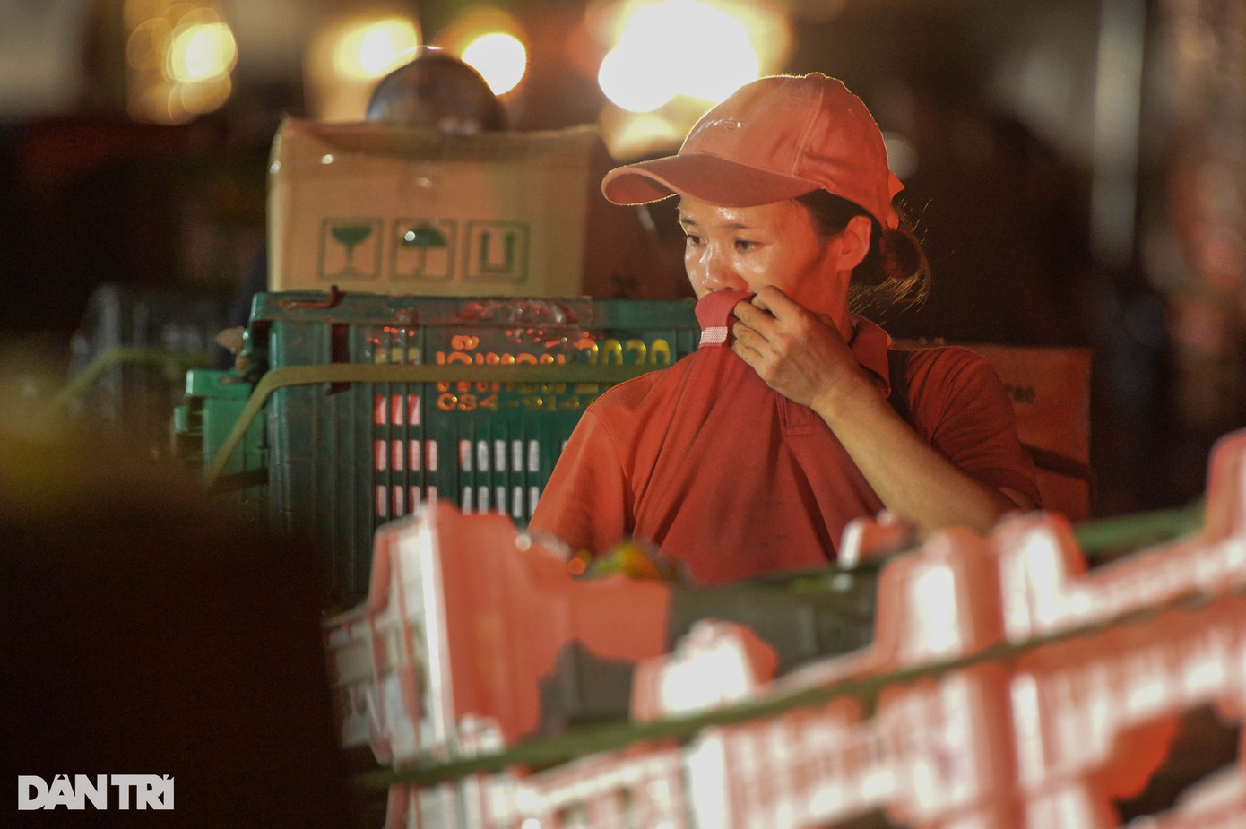 2h sáng 20/10, thời tiết se lạnh nhưng mồ hôi vẫn nhễ nhại trên gò má của những phụ nữ kéo xe. Một bảo vệ tại chợ cho biết, khoảng 70-80% phu xe ở chợ Long Biên là nữ. Thời gian cao điểm, tại chợ Long Biên có khoảng 800-1.000 phụ nữ kéo xe. Mặc dù là nữ nhưng những người này sức khỏe tốt, luôn làm việc miệt mài từ đêm đến sáng. 2h sáng 20/10, thời tiết se lạnh nhưng mồ hôi vẫn nhễ nhại trên gò má của những phụ nữ kéo xe. Một bảo vệ tại chợ cho biết, khoảng 70-80% phu xe ở chợ Long Biên là nữ. Thời gian cao điểm, tại chợ Long Biên có khoảng 800-1.000 phụ nữ kéo xe. Mặc dù là nữ nhưng những người này sức khỏe tốt, luôn làm việc miệt mài từ đêm đến sáng.