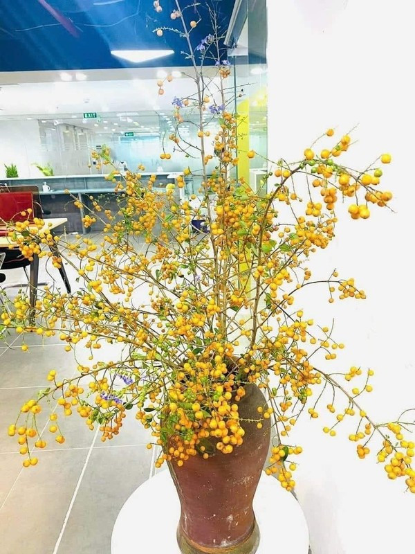 Những ngày đắt khách, chị Lan bán được cả trăm bó cành găng. Ảnh: Facebook