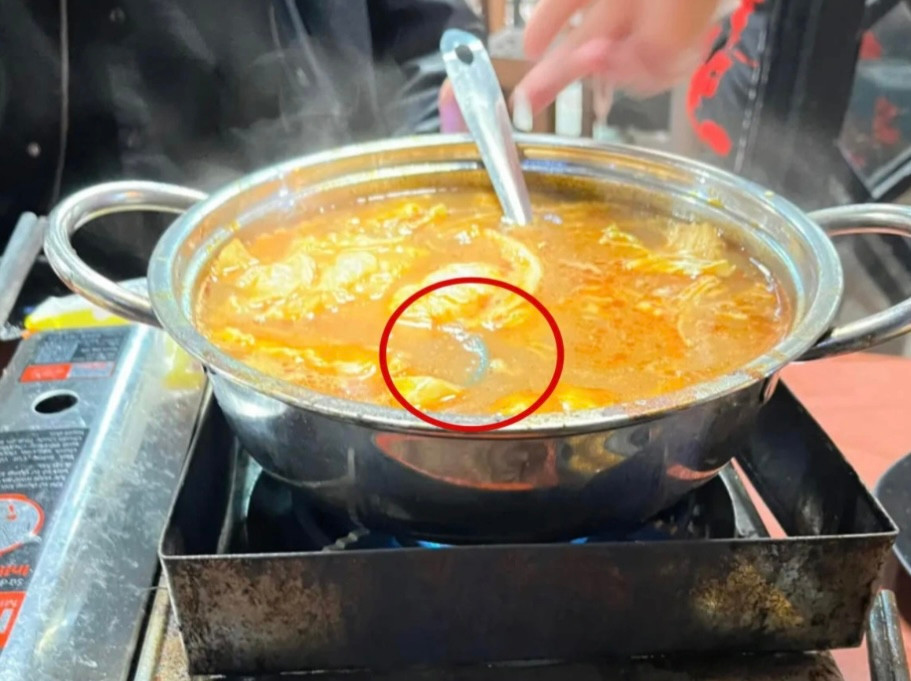 Vật thể lạ được cho là rết, có nhiều chân, dài khoảng 10cm nằm trong nồi lẩu Thái (Ảnh: NVCC). Vật thể lạ được cho là rết, có nhiều chân, dài khoảng 10cm nằm trong nồi lẩu Thái (Ảnh: NVCC).