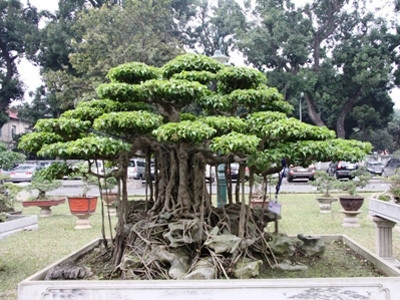 Tuy nhiên, giá trị thực của mỗi món ăn tinh thần ấy, phải được hưởng thụ bằng văn hóa mỗi người. Tuy nhiên, giá trị thực của mỗi món ăn tinh thần ấy, phải được hưởng thụ bằng văn hóa mỗi người