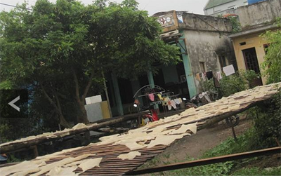 Hay bất cứ bãi đất trống nào tận dụng được