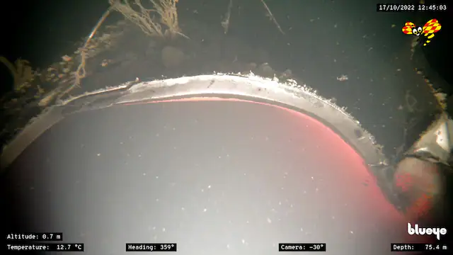 Ảnh chụp màn hình