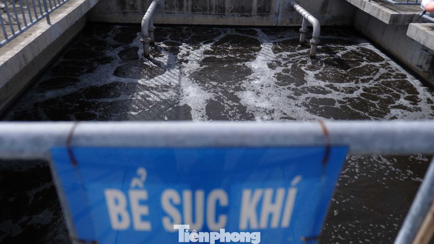 Nước thải được đưa vào hệ thống xử lý vi sinh để loại bỏ các chất hữu cơ trước khi xả thải ra môi trường.