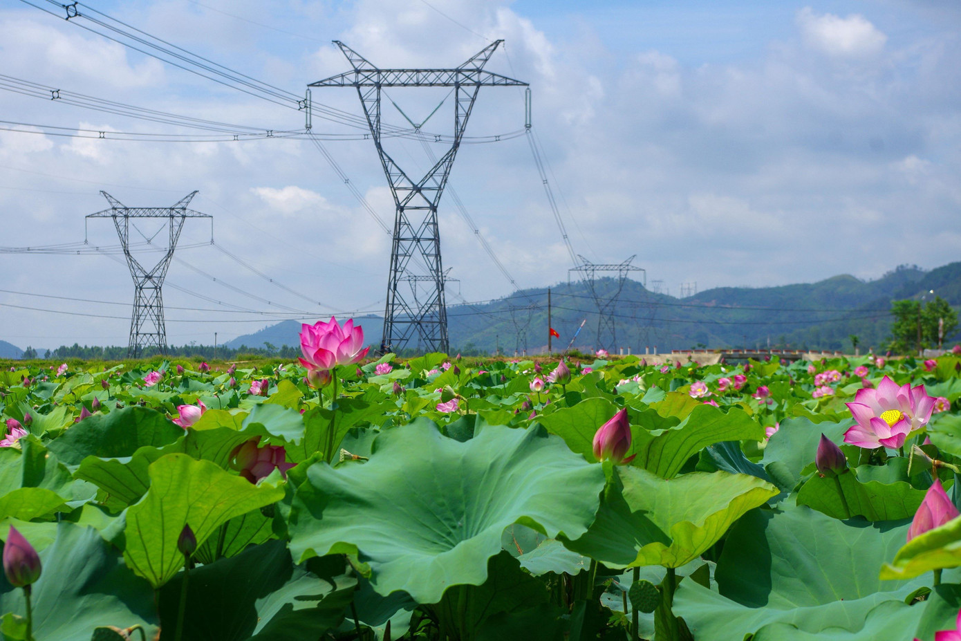 EVNNPT đảm bảo truyền tải điện an toàn trục truyền tải điện 500kV Bắc – Nam trong 6 tháng vừa qua