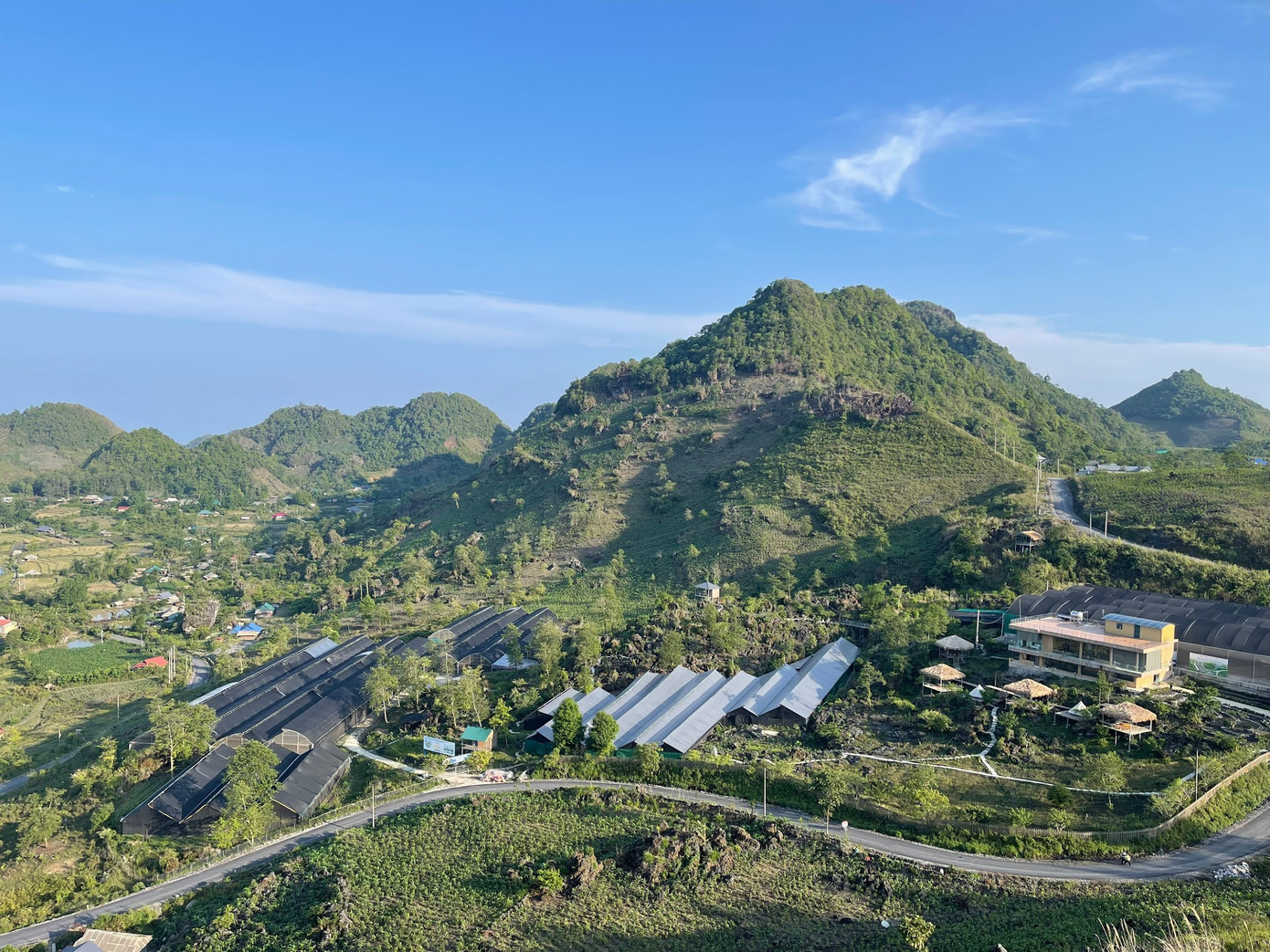 Vùng trồng sâm Lai Châu đạt chứng nhận hữu cơ của Cỏ Mềm