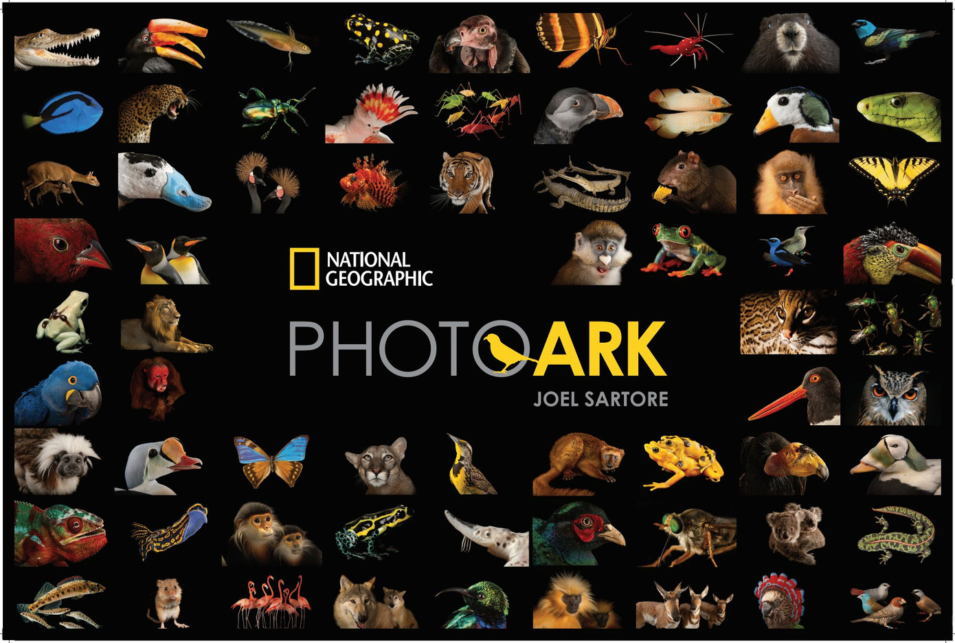 The Photo Ark là dự án được yêu thích hàng đầu của kênh National Geographic, do nhiếp ảnh gia tài ba Joel Sartore sáng lập. Dự án hướng tới mục tiêu chụp ảnh tất cả các loài sống trong vườn thú và khu bảo tồn động vật hoang dã trên thế giới nhằm truyền cảm hứng bảo vệ động vật có nguy cơ tuyệt chủng tới mọi người. Đến nay, The Photo Ark đã thực hiện hơn 15.000 bức chân dung các loài động vật tại những vườn thú và khu bảo tồn uy tín khắp toàn cầu.