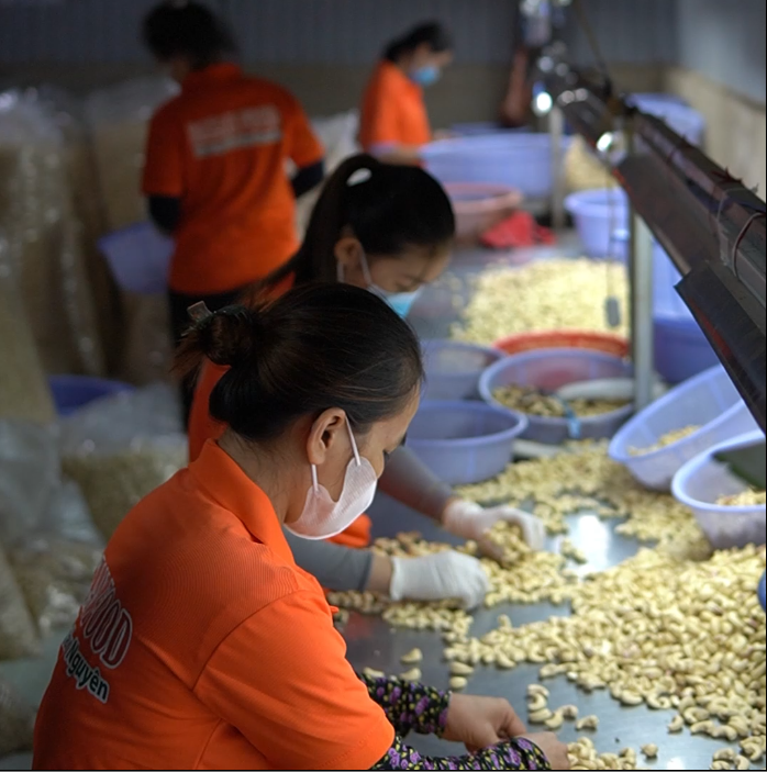 Quy trình sản xuất hiện đại tại Bazan FoodTây Nguyên.