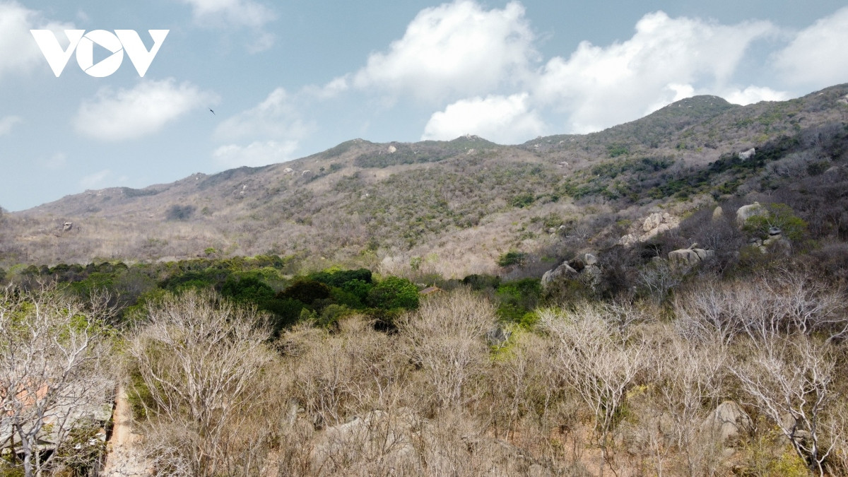 Bà Rịa-Vũng Tàu có 3/4 diện tích là đồi núi, khi xảy ra cháy rừng rất khó vận chuyển nguồn nước chữa cháy