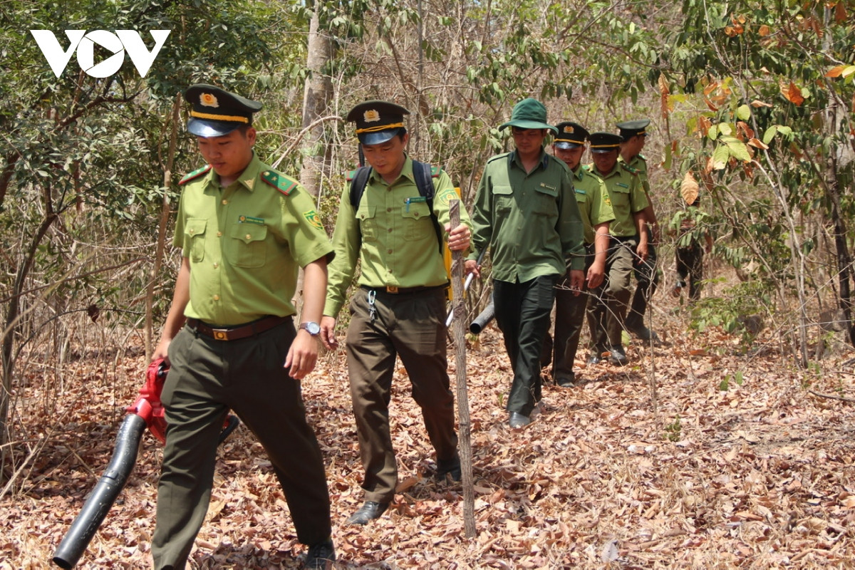 Kiểm lâm địa bàn cùng các phương tiện chữa cháy tại chỗ xuyên rừng giữa thời tiết 40 độ C