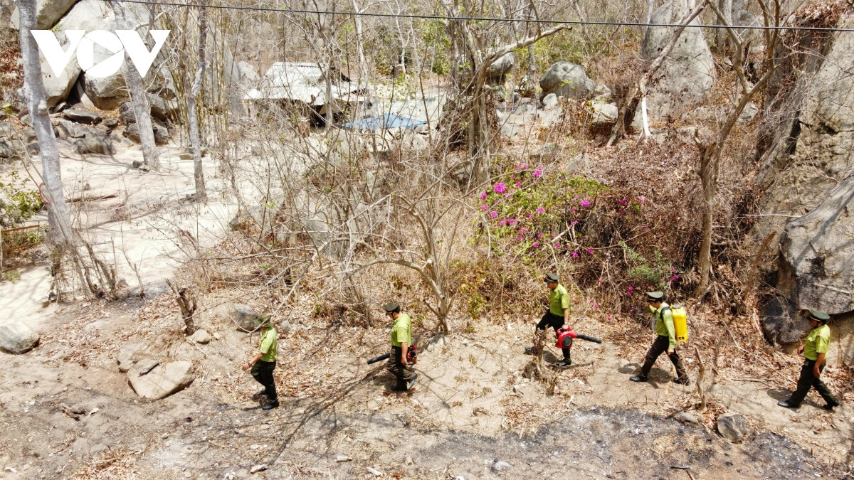 Lực lượng kiểm lâm tổ chức tuần tra giữa trưa trên cánh rừng Minh Đạm, huyện Long Điền