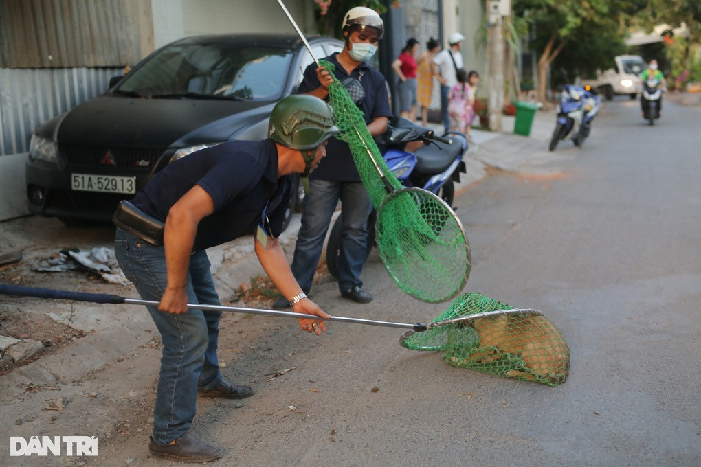 Một con chó được tổ công tác bắt giữ trên đường số 18 (Ảnh: An Huy).