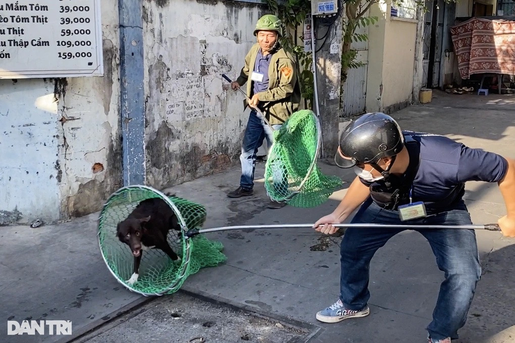 Khoảnh khắc tổ công tác bắt con chó của ông Quang (Ảnh: An Huy).