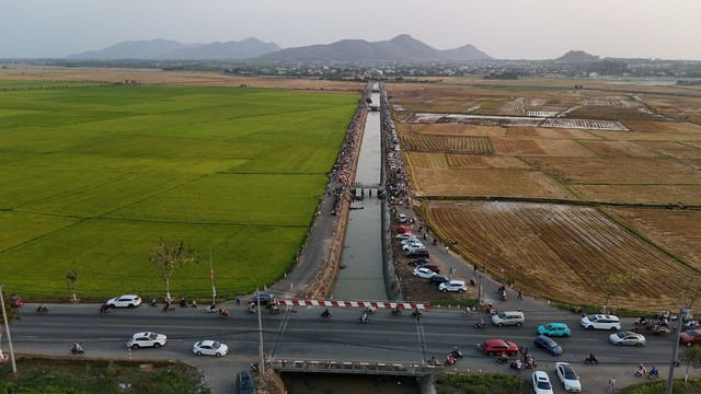 Cánh đồng lúa xã An Nhứt, huyện Long Điền, tỉnh Bà Rịa - Vũng Tàu Cánh đồng lúa xã An Nhứt, huyện Long Điền, tỉnh Bà Rịa - Vũng Tàu