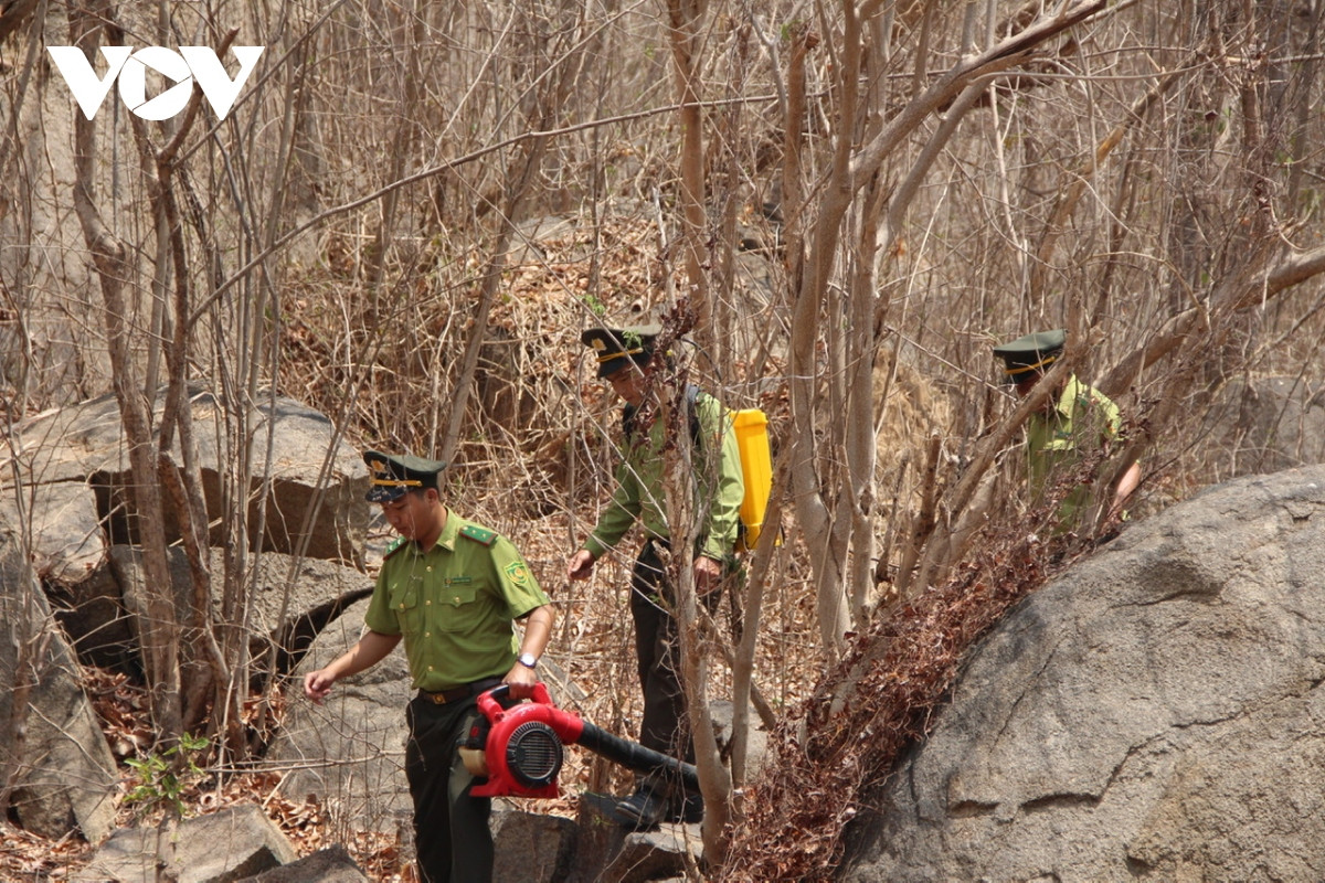 Lực lượng kiểm lâm tổ chức tuần tra, canh lửa rừng 24/24h tại các khu rừng nguy cơ cháy cao