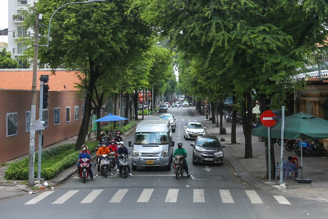 TP HCM rất cần phát triển các mảng xanh đô thị để cải thiện môi trường và nâng chất lượng sống của người dân. Ảnh: HOÀNG TRIỀU