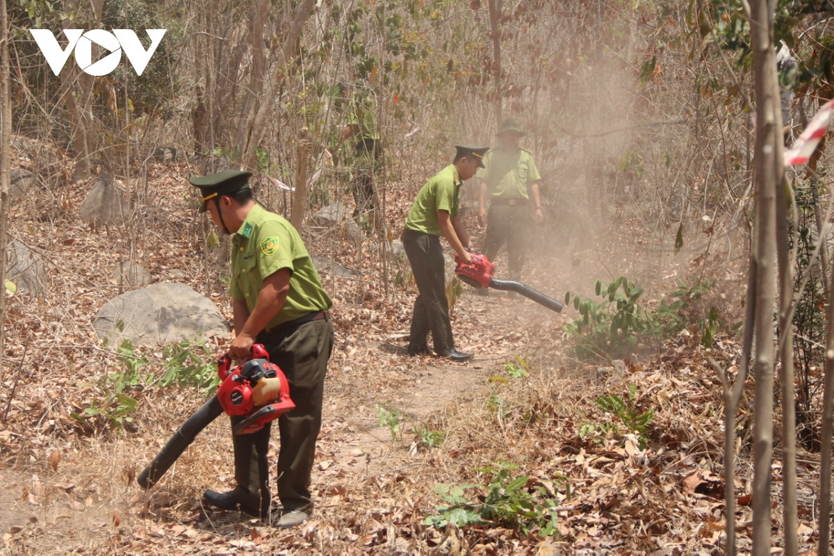 Kiểm lâm các địa phương ở Bà Rịa - Vũng Tàu chủ động dùng máy thổi gió dọn dẹp đường băng cản lửa