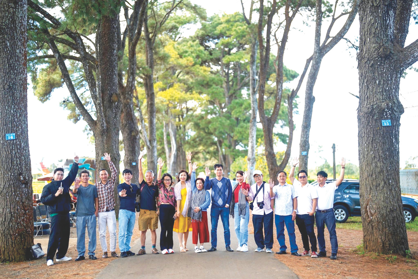 Hàng thông cổ thụ trong đồi chè là địa điểm yêu thích của mọi người chụp ảnh. Hàng thông cổ thụ trong đồi chè là địa điểm yêu thích của mọi người chụp ảnh.