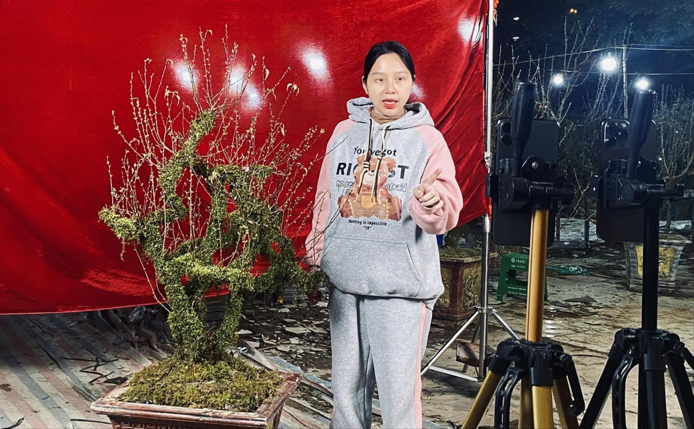 Chị Nguyễn Thị Ngọc Huyền (ở Lào Cai) livestream bán hoa nhất chi mai cho bố dịp Tết. Ảnh: Châu Linh