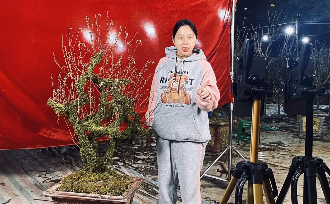 Chị Nguyễn Thị Ngọc Huyền (ở Lào Cai) livestream bán hoa nhất chi mai cho bố dịp Tết. Ảnh: Châu Linh