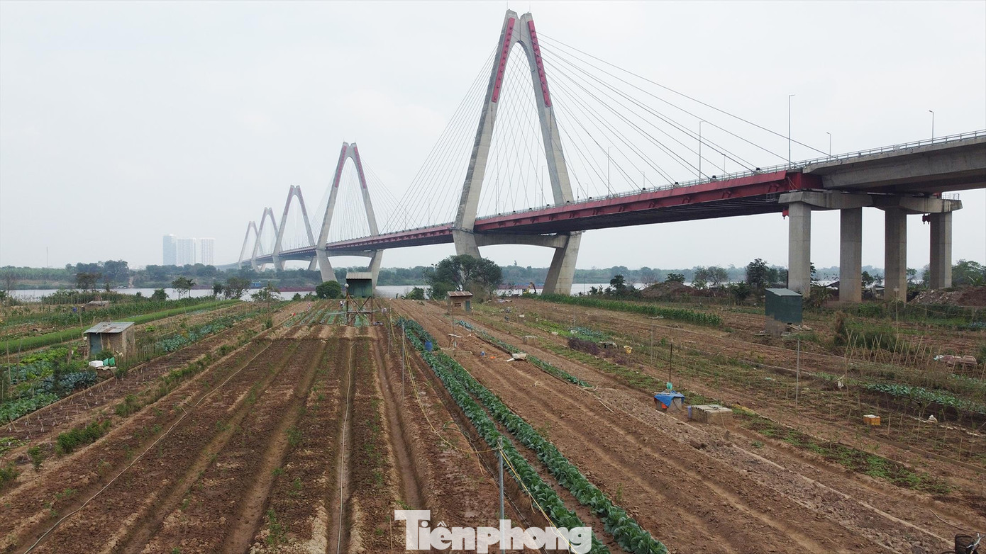 Nơi dự kiến đặt trạm bơm đưa nước từ sông Hồng vào hồ Tây và sông Tô Lịch Nơi dự kiến đặt trạm bơm đưa nước từ sông Hồng vào hồ Tây và sông Tô Lịch