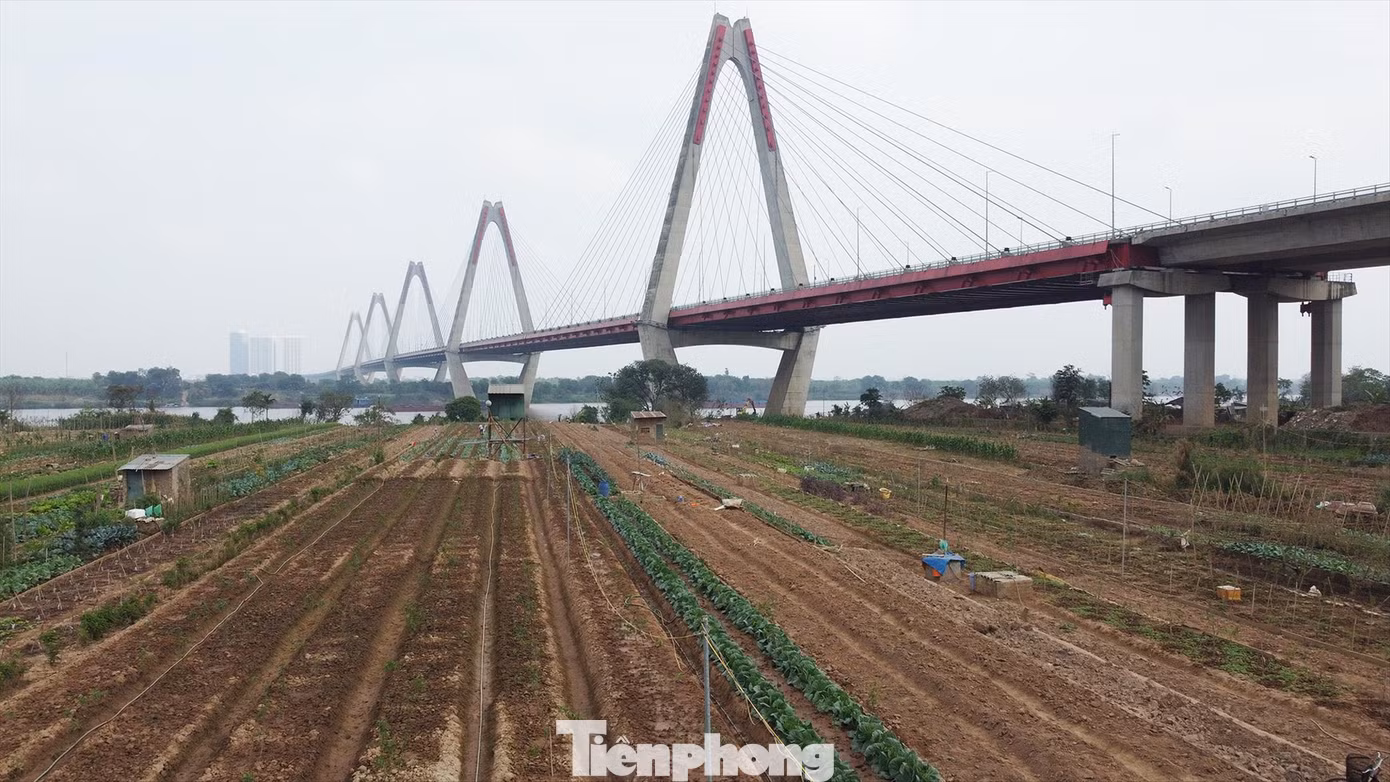 Nơi dự kiến đặt trạm bơm đưa nước từ sông Hồng vào hồ Tây và sông Tô Lịch